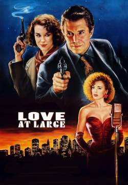 Love at Large - Un amore passeggero (1990)