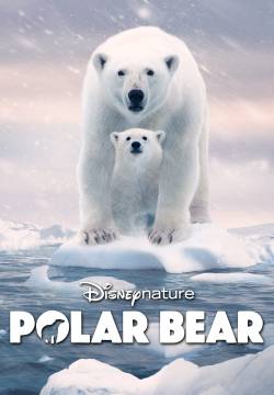 Polar Bear (2022)